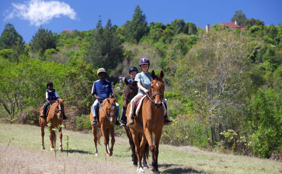 Horse Riding