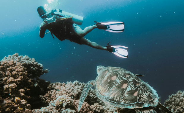 Diving at Sodwana Bay Lodge