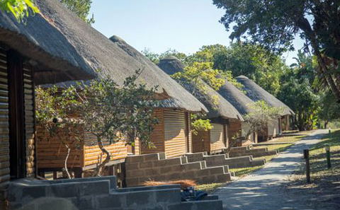 The joy of a gathering at Sodwana Bay Lodge The joy of a gathering at Sodwana Bay Lodge