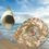 Shell-seeking is a shore thing
