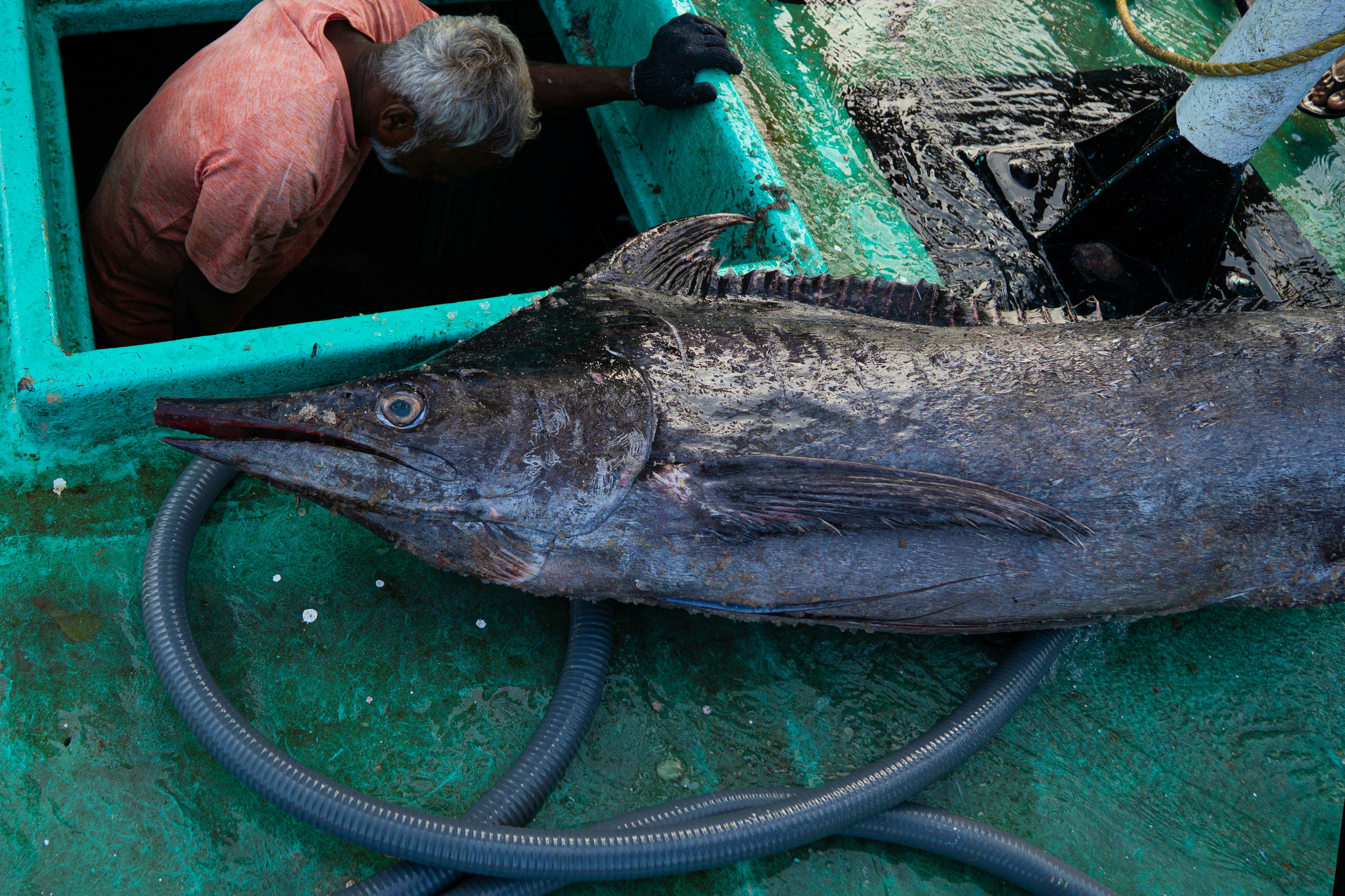 Fishing competitions at Sodwana Bay