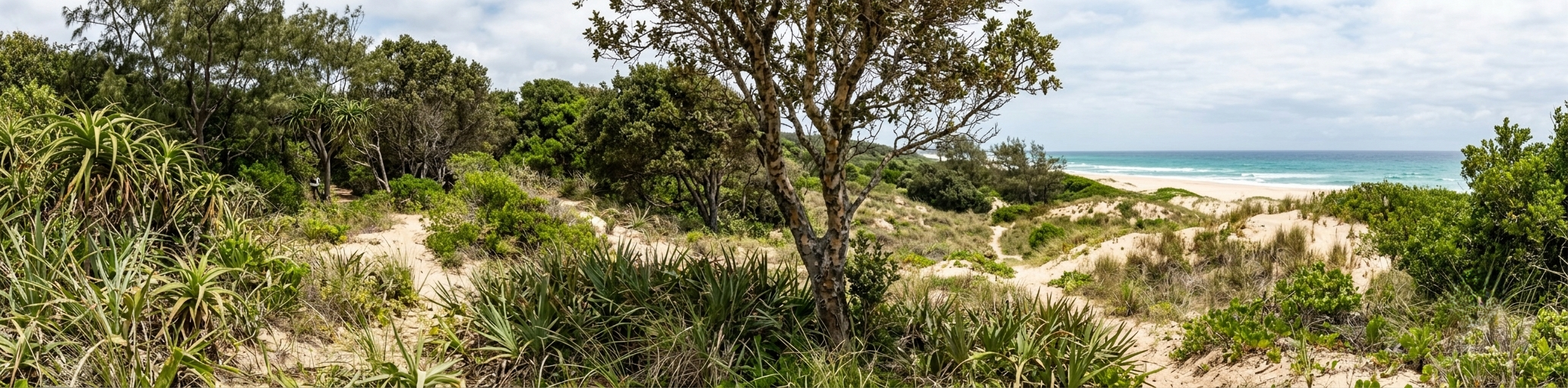 Sodwana’s silky survivor.