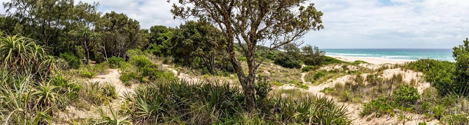 Sodwana’s silky survivor.