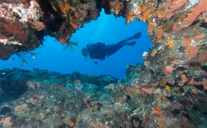 Sodwana Bay Lodge scuba diving