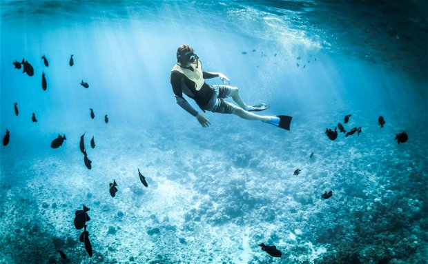 Sodwana Bay Lodge Hotel diving