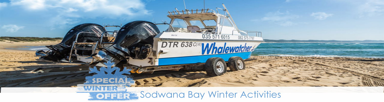 Deep Sea Fishing, Whale Watching Tours 