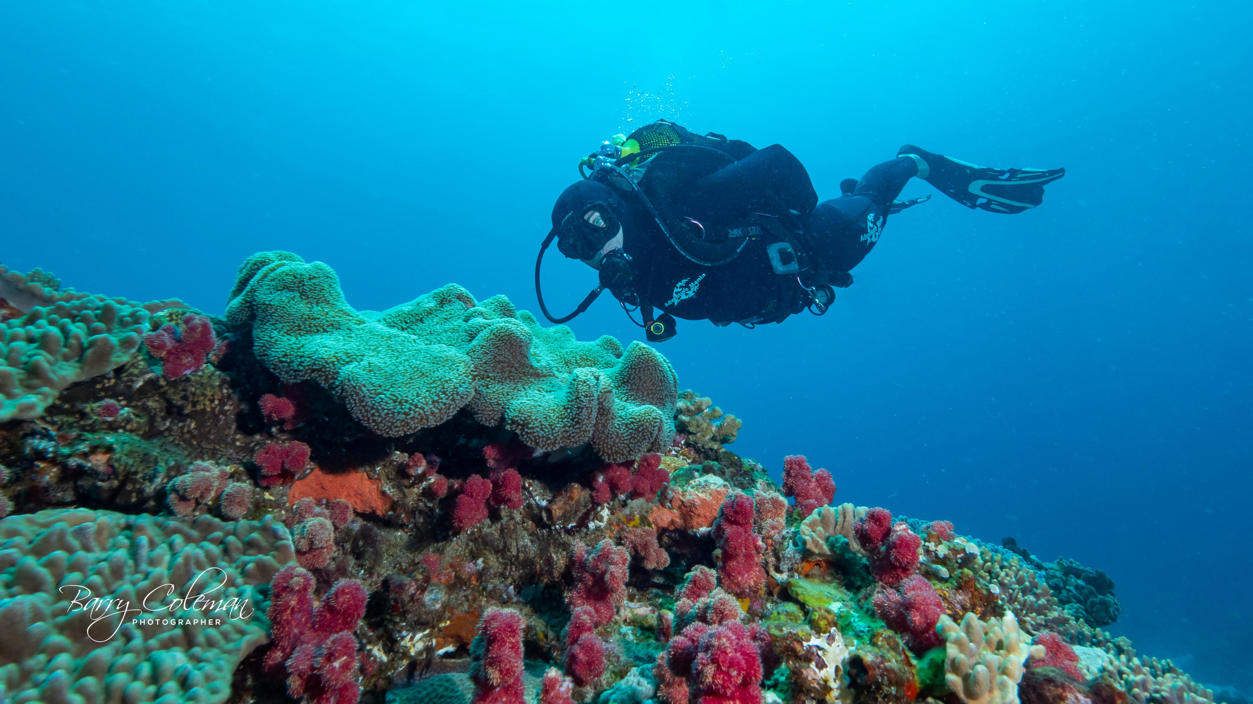 Diving bliss at Sodwana Bay Lodge