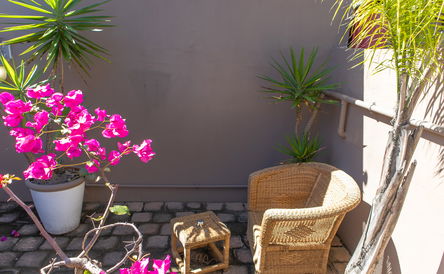 Standard Terrace Room