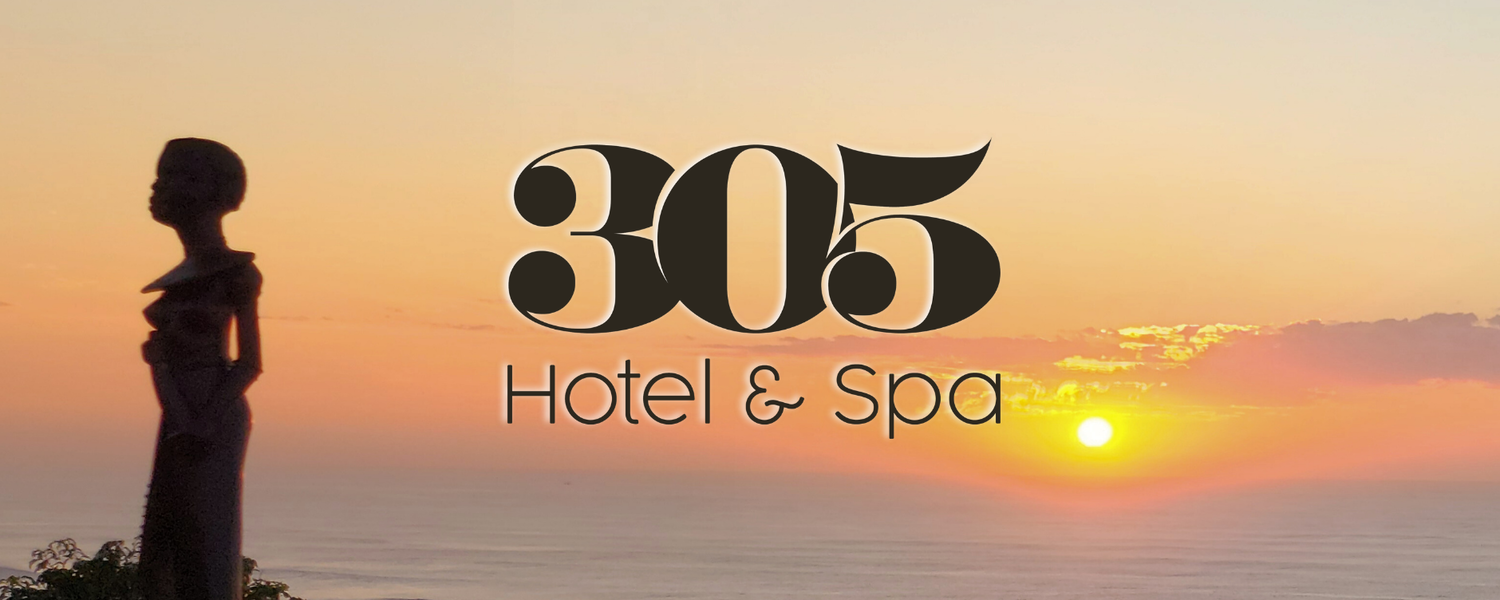 305 hotel, pet friendly, pet friendly accommodation, durban, amanzimtoti