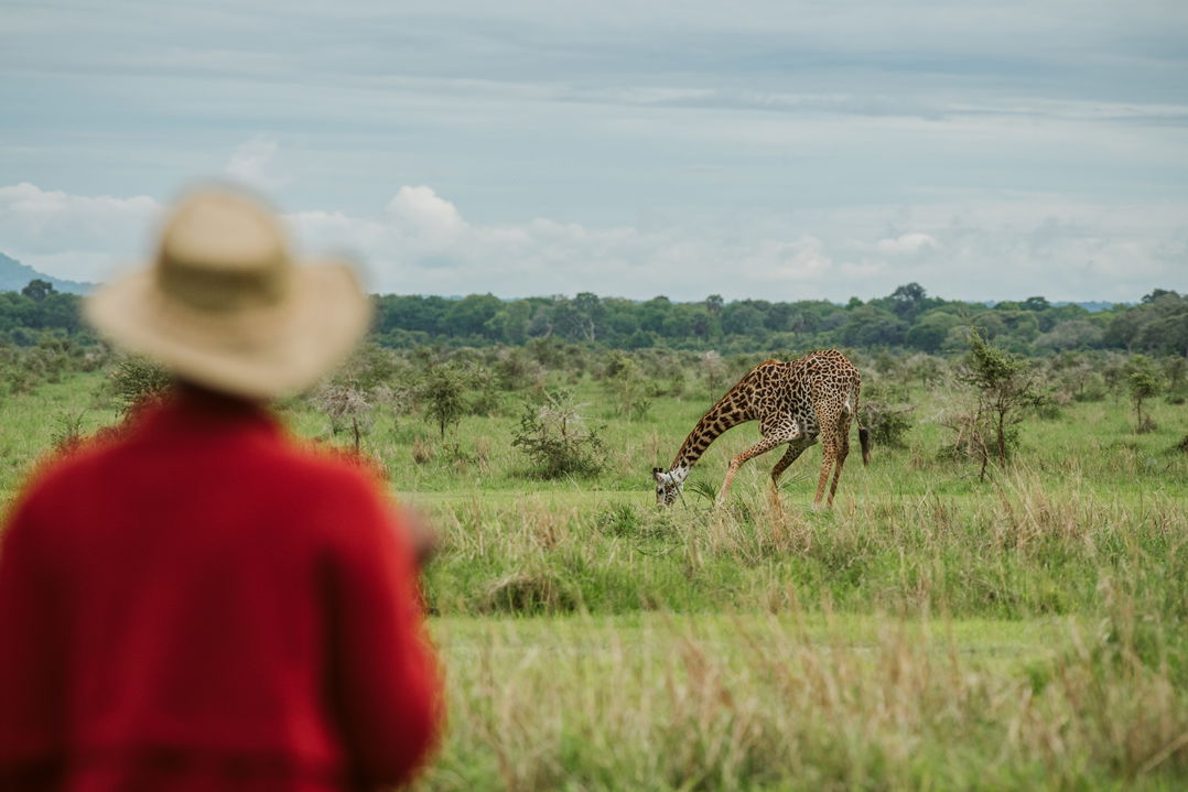 Katavi National Park - southern Tanzania