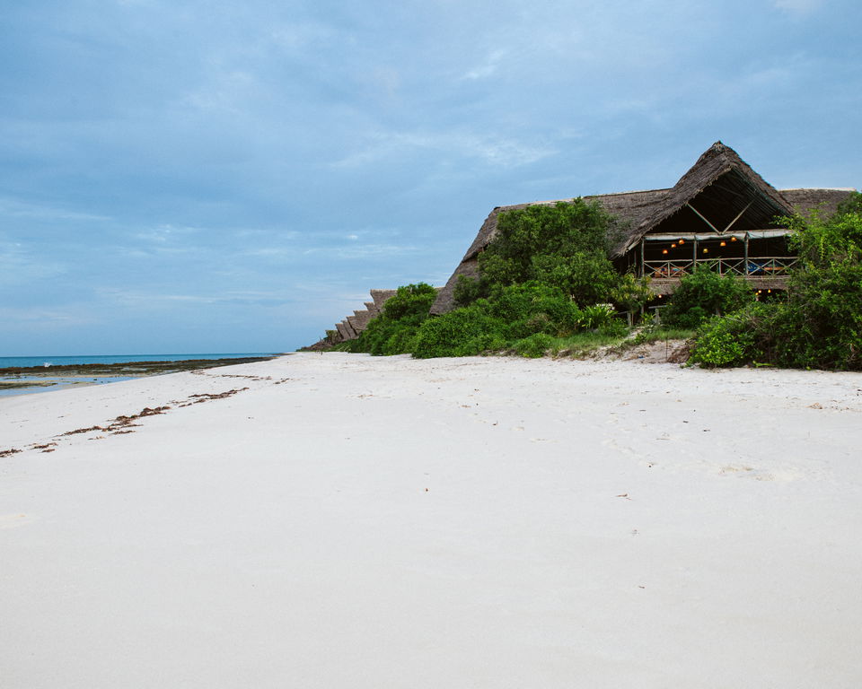 10-day safari trip: beach and bush in Southern Tanzania