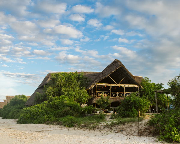 10-day Ultimate Southern Tanzania Bush & Beach Safari