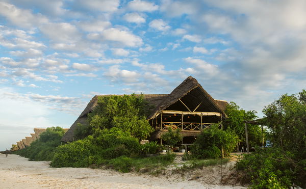 Rivers to Reefs: From the Savannah to the Sea