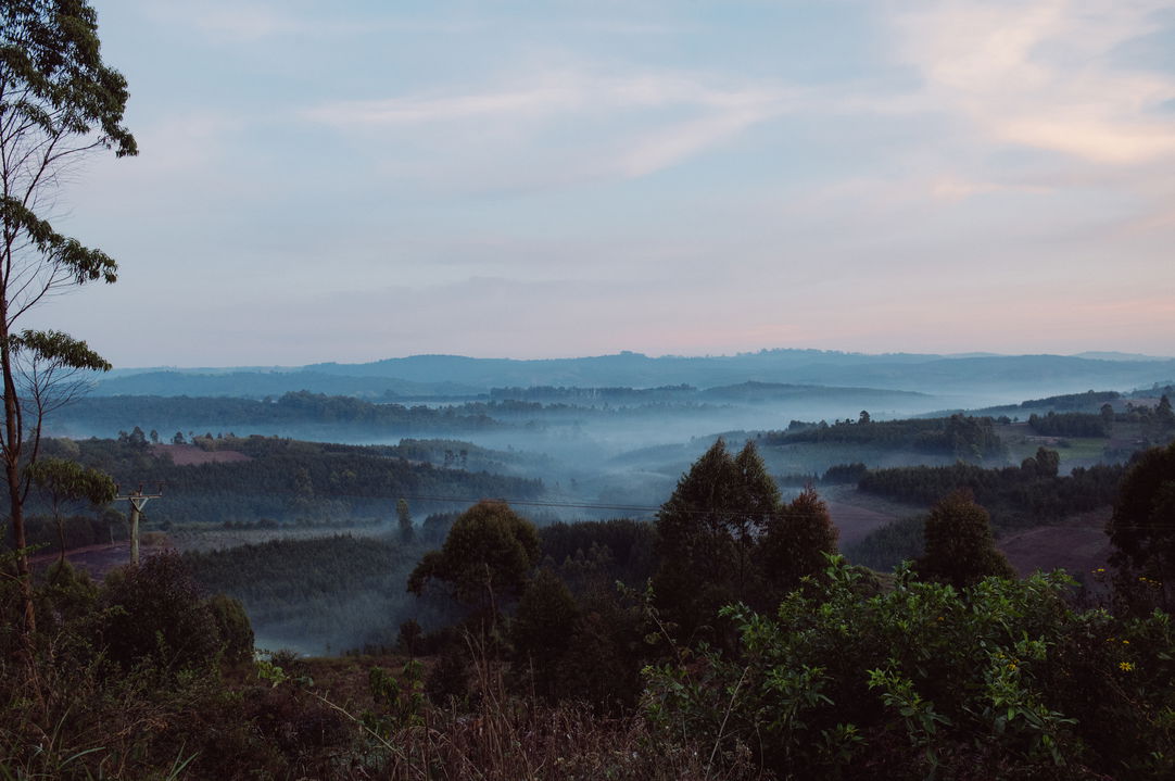 mufinidi highlands