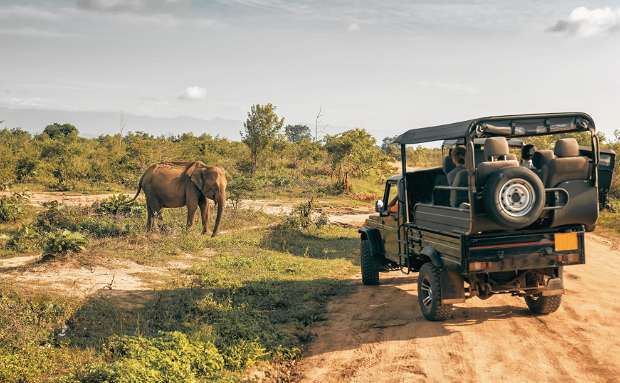 40 years of Foxes Safari Camps in Tanzania 40 years of Foxes Safari Camps in Tanzania