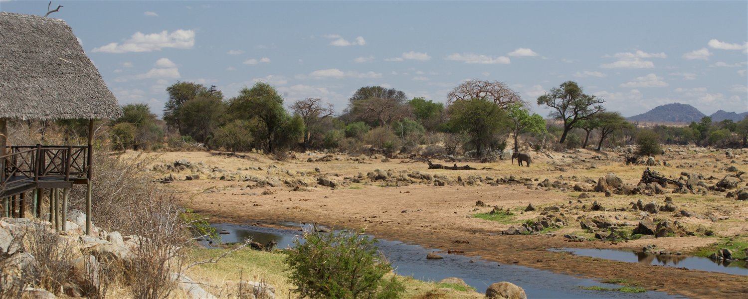 The view from Ruaha River Lodge, overlooking The Great Ruaha River