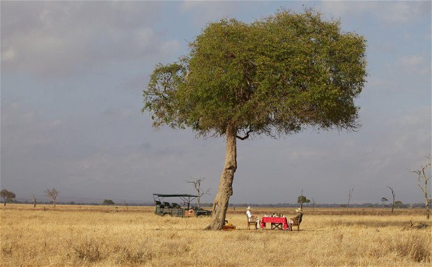 mikumi safari