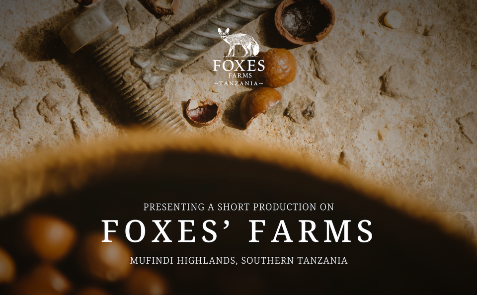 Foxes' Farm