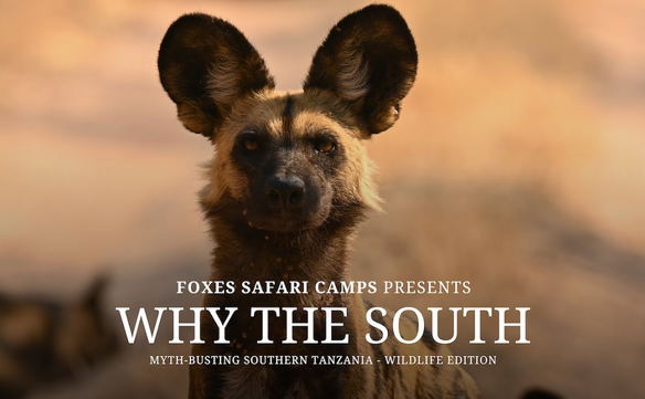 Why the South - Wildlife Edition