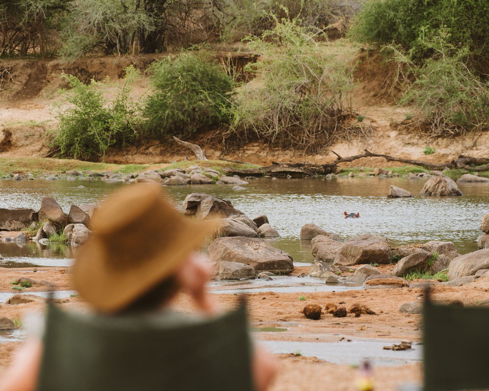 Tanzanian safari in Mikumi and Ruaha national parks