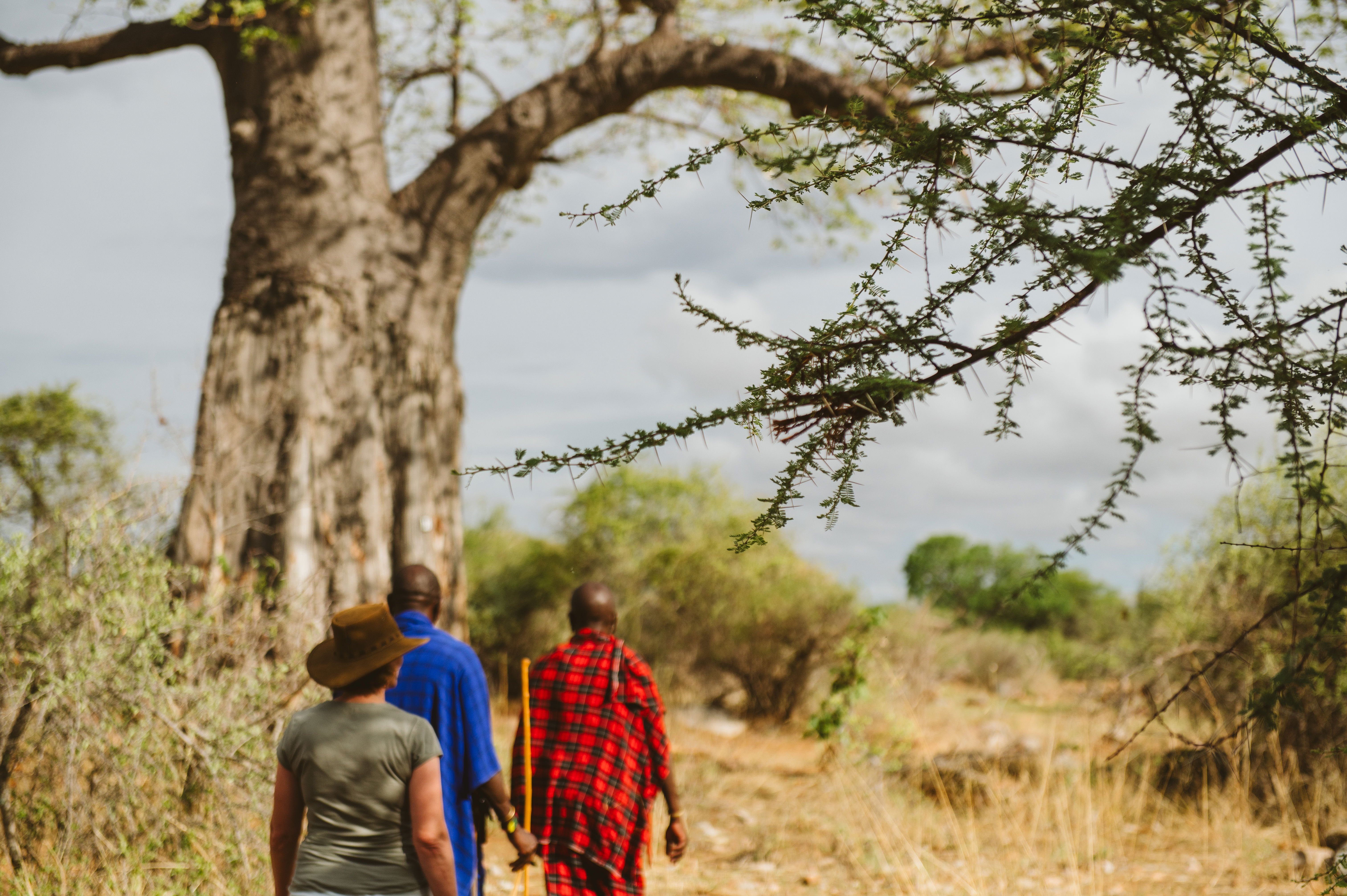 Nothing Beats Working in the Bush