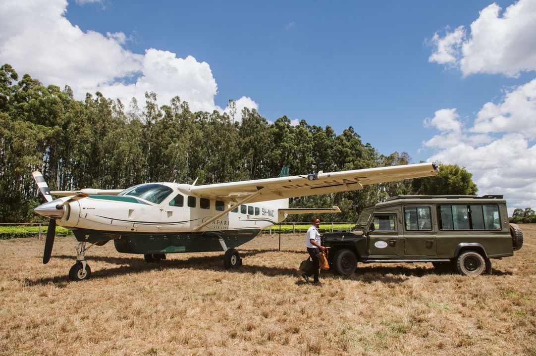 safari airlink, airline, southern tanzania