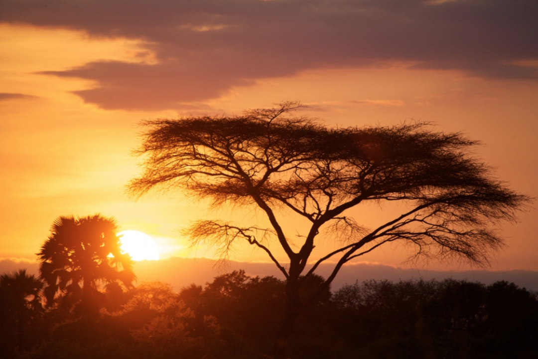 40 years of Foxes Safari Camps in Tanzania