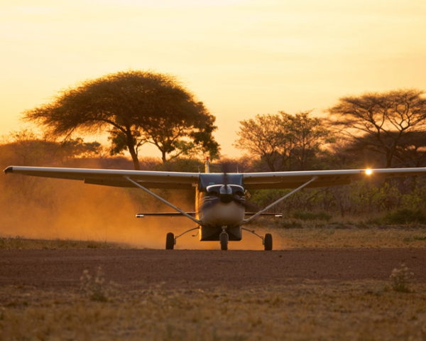 10-day Ultimate Southern Tanzania Bush & Beach Safari