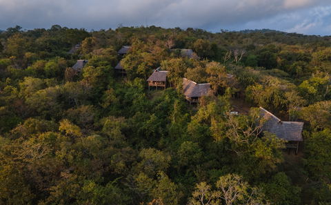 Mikumi National Park