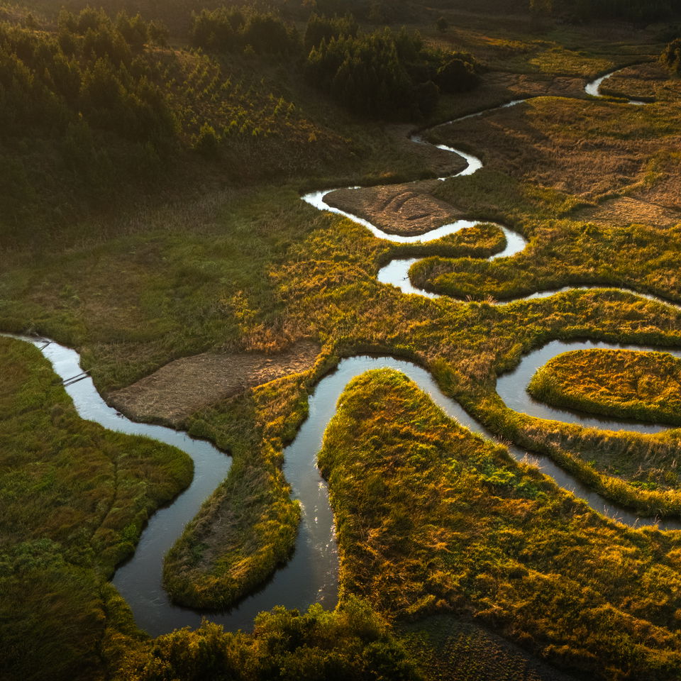 Foxes Community and Wildlife Conservation Trust