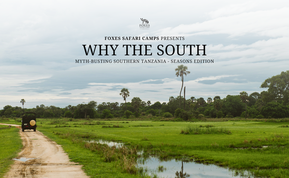 Why the South - Seasons Edition