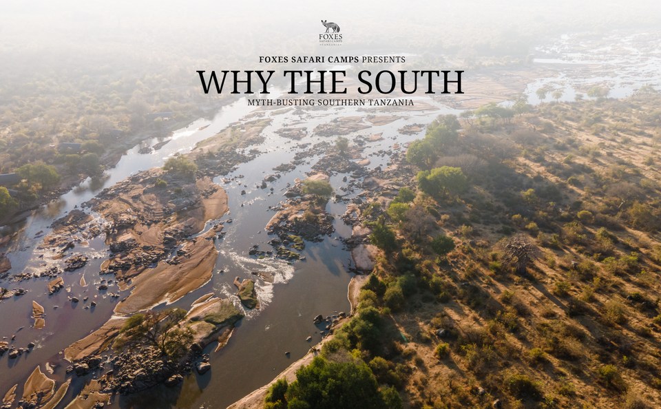 Why the South