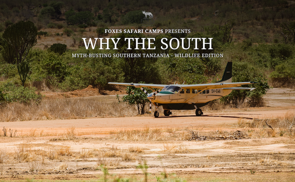 Why the South - The Southern Circuit