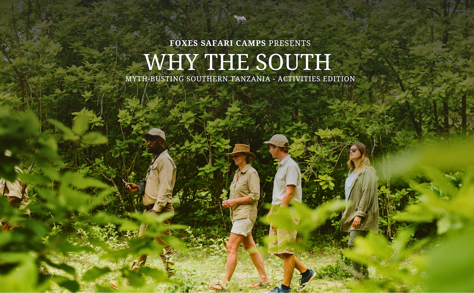 Why the South - Activities Edition