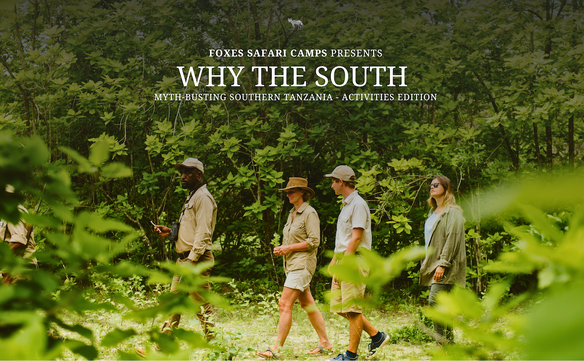 Why the South - Activities Edition