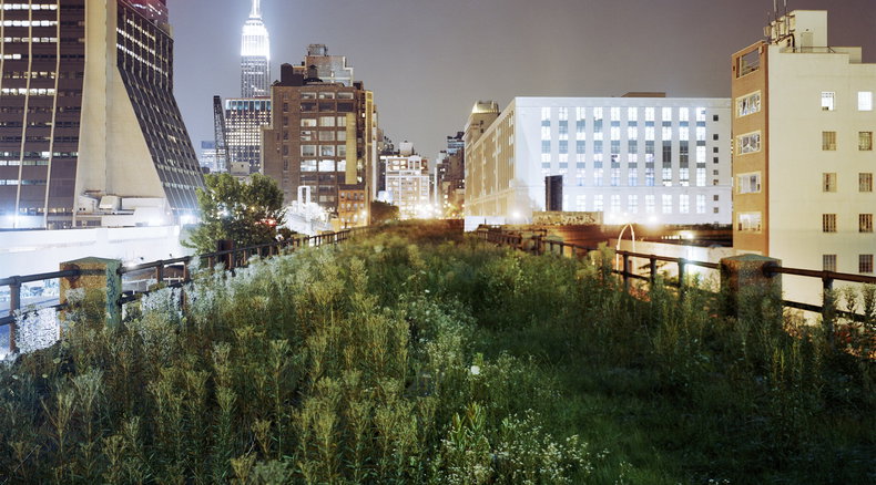 The High Line, Jesse Chehak, New York, #OnePercentShow,