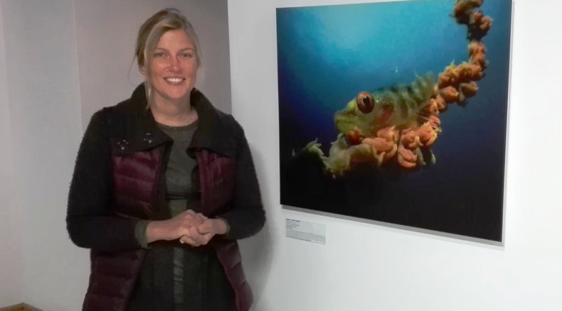 Underwater Photographer of the Year 2017, Compact Cameras : WINNER,  I’ve got my eye on you!,  Jenny Stromvoll,  (Mozambique) Mozambique, Frekkie, Indian Ocean Chavonnes Battery