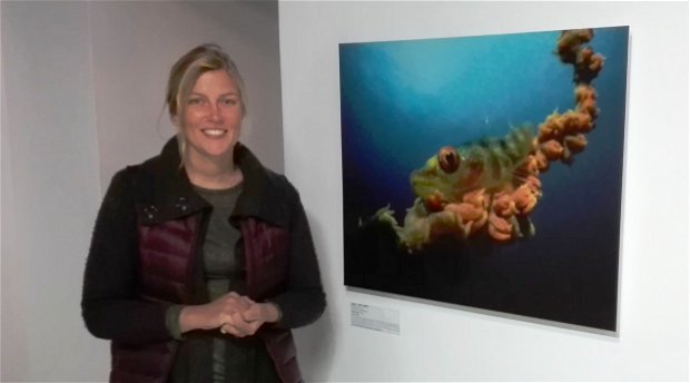 Underwater Photographer of the Year 2017, Compact Cameras : WINNER, I’ve got my eye on you!, Jenny Stromvoll, (Mozambique) Mozambique, Frekkie, Indian Ocean Chavonnes Battery Underwater Photographer of the Year 2017, Compact Cameras : WINNER, I’ve got my eye on you!, Jenny Stromvoll, (Mozambique) Mozambique, Frekkie, Indian Ocean Chavonnes Battery