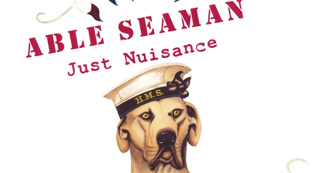 Just Nuisance book launch, able seaman, Chavonnes Battery