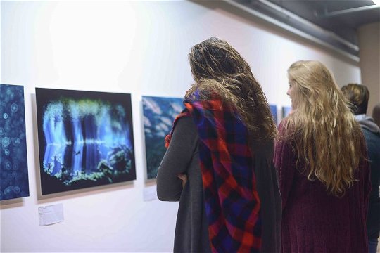Museum Night V&A, First Thursdays, Underwater Photographer of the Year 2017