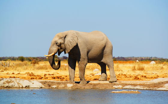 12 Days In And Around Namibia