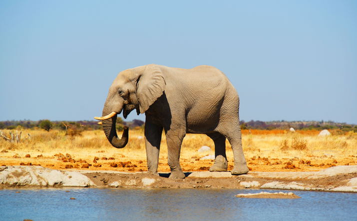 12 Days In And Around Namibia