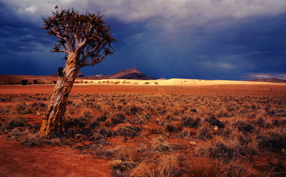 8 Day Southern Namibia Tour