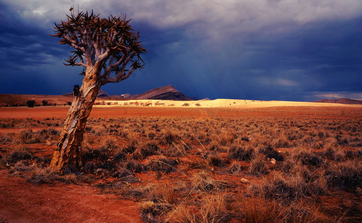 8 Day Southern Namibia Tour