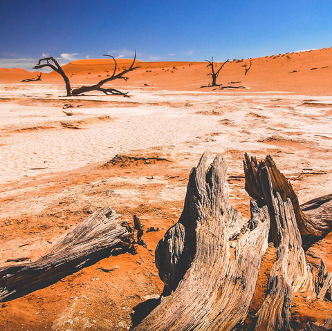 3 Day Sossusvlei Tour