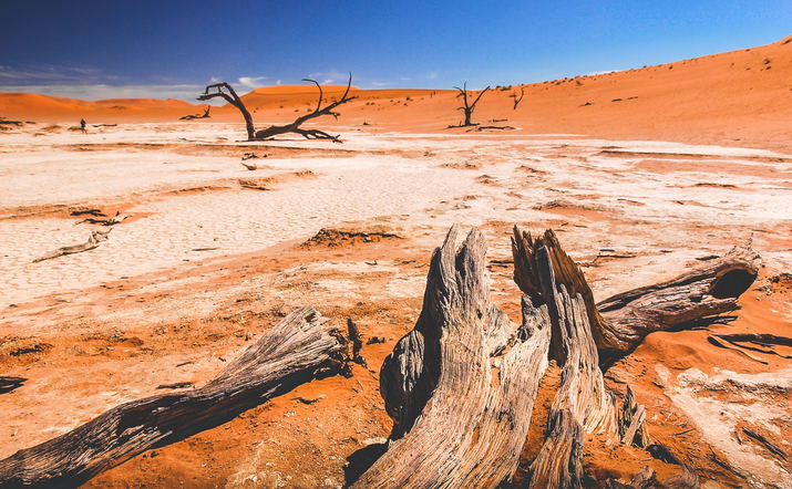 3 Day Sossusvlei Tour
