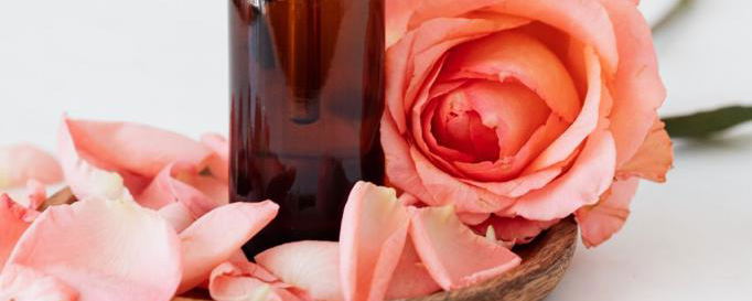 aromatherapy wellness day weekend retreat countryside luxury accommodation de kloof luxury estate swellendam western cape south africa