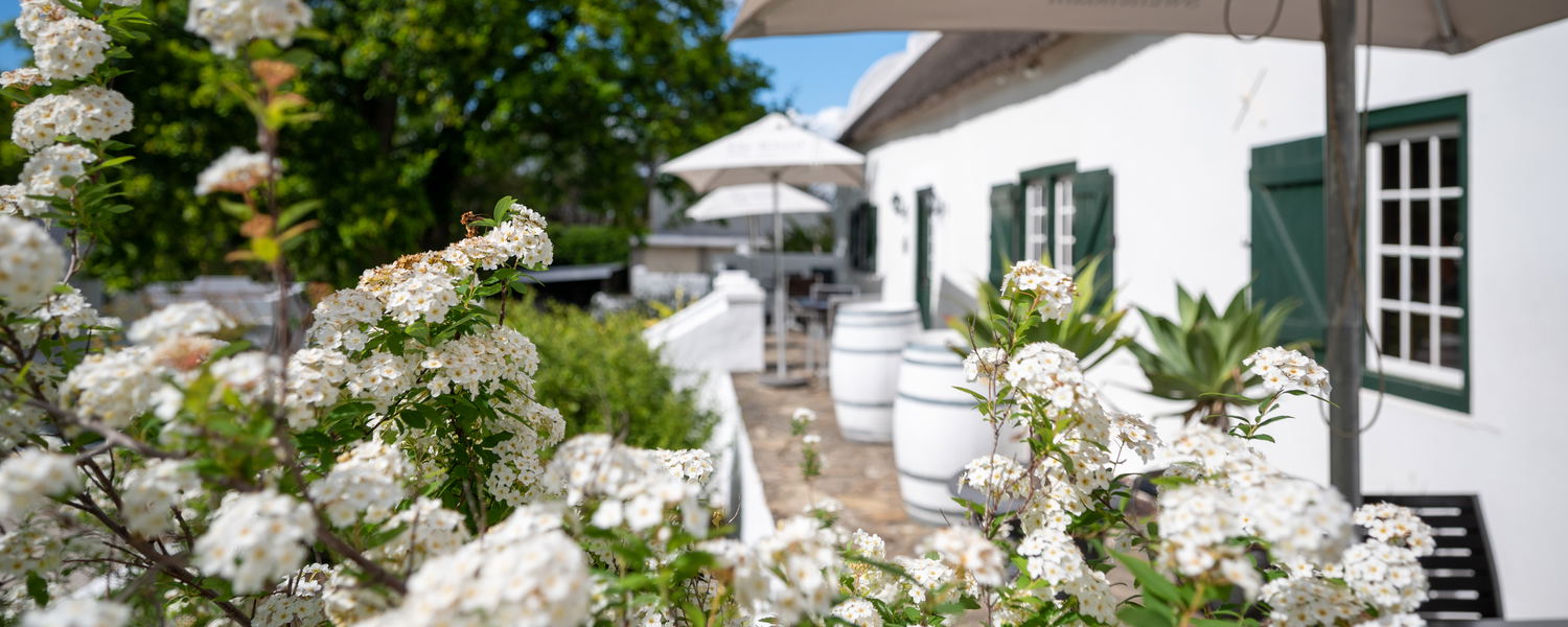 heritage country side luxury suites hotel 5 star wellness spa accommodation de Kloof heritage estate hotel and spa swellendam western cape south africa