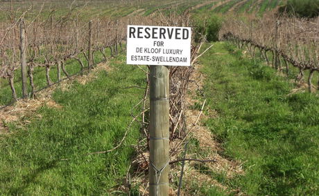 wines vineyard De Kloof luxury estate boutique hotel and spa swellendam south africa wines vineyard De Kloof luxury estate boutique hotel and spa swellendam south africa