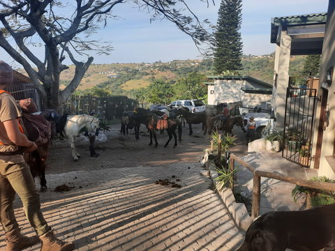 Visiting Horses from Wildest Coast Journey by Horse